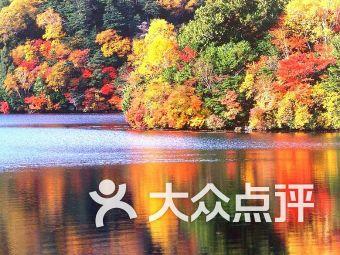小小忍者疾风传